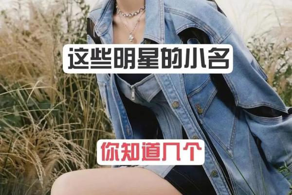 明星和星二代还有名人的小名都是什么-姓名学-华易网姓名