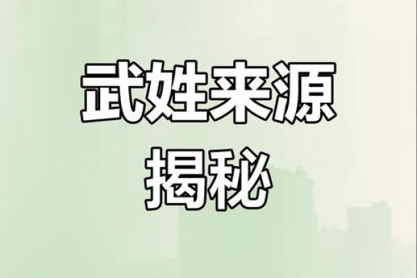 姓武的名人-姓名学-华易算命网姓名
