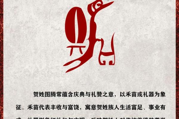 贺姓女孩名字大全-贺姓女孩起名字大全-贺姓名字大全姓名