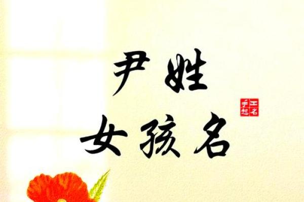 尹姓女孩名字大全-尹姓女孩起名字大全-尹姓名字大全姓名