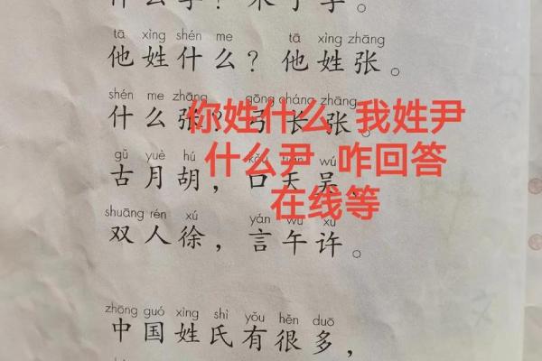 尹姓女孩名字大全-尹姓女孩起名字大全-尹姓名字大全姓名