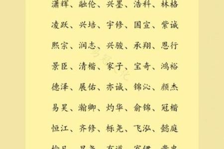 2019年6月8号寅时出生的男孩应该起什么样的名字姓名
