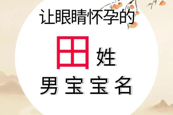 姓田的名人-姓名学-华易算命网姓名