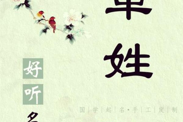 单姓女孩名字大全-单姓女孩起名字大全-单姓名字大全姓名