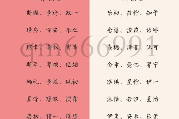 双胞胎男孩和女孩的名字都是有什么样的-姓名学-华易网姓名
