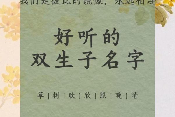 双胞胎男孩和女孩的名字都是有什么样的-姓名学-华易网姓名