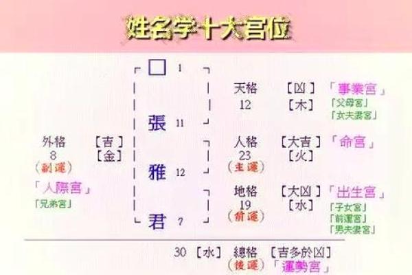 姓巢的名人-姓名学-华易算命网姓名