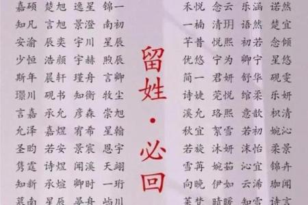 2019年6月1号子时出生的男孩要怎么起名字姓名