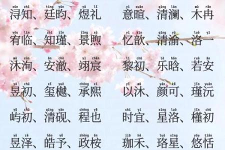 2019年5月27号丑时出生的男孩如何起名姓名