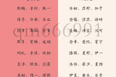 双胞胎男孩和女孩的名字都是有什么样的-姓名学-华易网姓名
