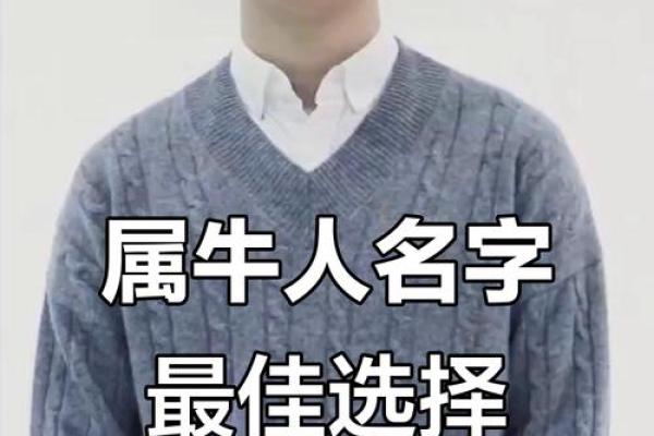 什么字适合给中午12点出生的属牛男孩起名姓名