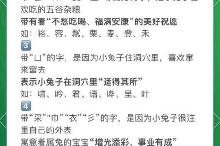 上午出生属兔的男孩应该怎么样取名字呢姓名