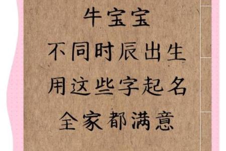 什么字适合给中午12点出生的属牛男孩起名姓名