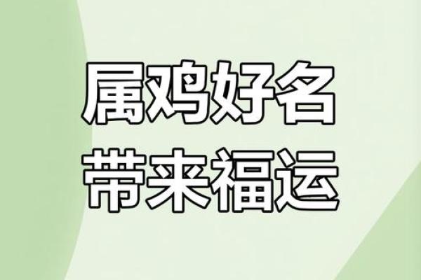 早上6点出生的属鸡男孩应该怎么样起名字姓名