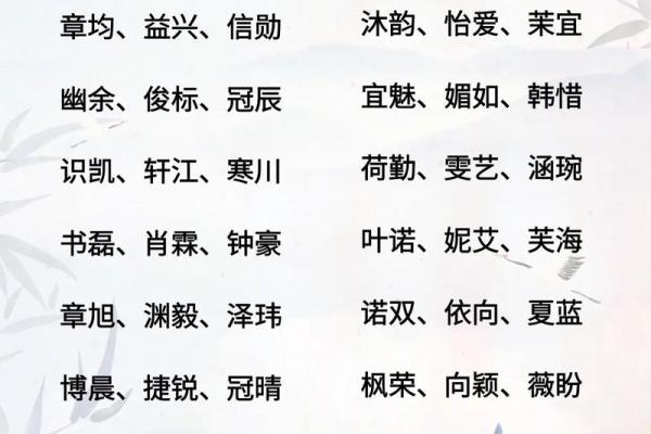 2019年3月31号辛时出生的男孩要怎么起名字姓名