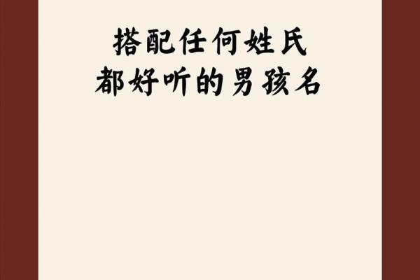 2019年3月31号辛时出生的男孩要怎么起名字姓名