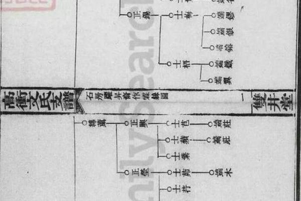 支姓女孩名字大全-支姓女孩起名字大全-支姓名字大全姓名