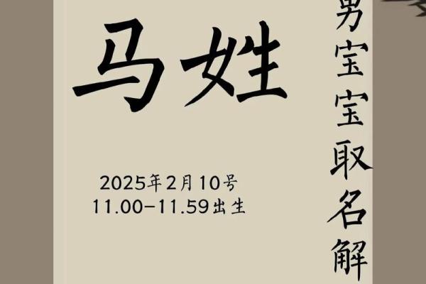 二月份出生属马的男孩该取什么名字姓名