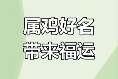 早上6点出生的属鸡男孩应该怎么样起名字姓名