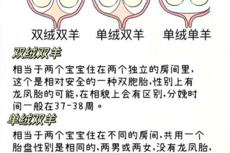 双胞胎取名用词语联贯和对偶联贯的方法-姓名学-华易网姓名