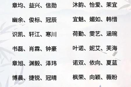 2019年3月31号辛时出生的男孩要怎么起名字姓名