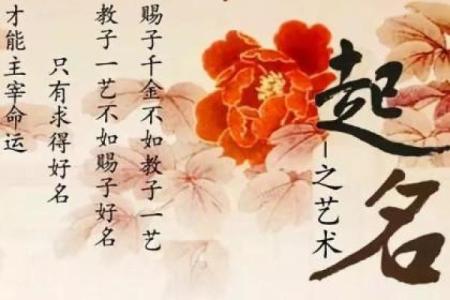 婴儿名字怎么取-姓名学-华易网姓名