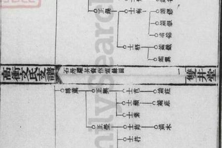 支姓女孩名字大全-支姓女孩起名字大全-支姓名字大全姓名
