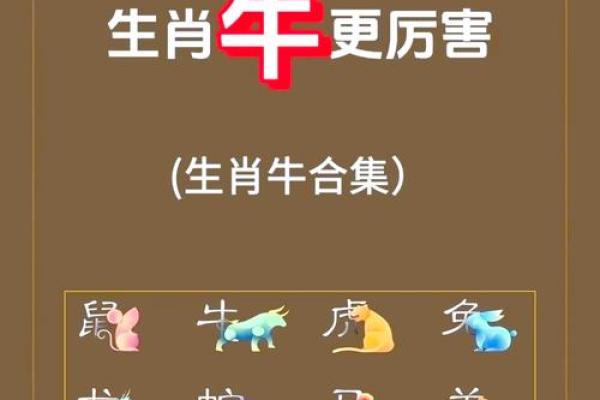 下午出生的属牛男孩起什么名字比较合适姓名