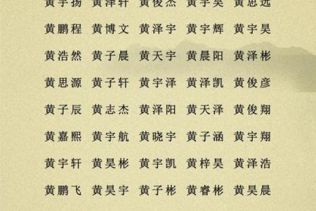 2019年5月31号卯时出生的男孩起名时要注意什么姓名