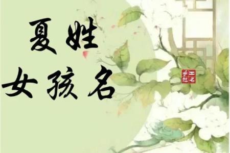 姓夏侯的名人-姓名学-华易算命网姓名