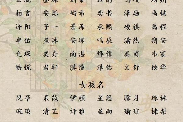 2019年3月27号辰时出生的男孩应该起什么样的名字姓名