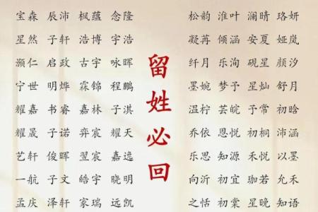 2019年3月21号未时出生的男孩要怎么起名字姓名
