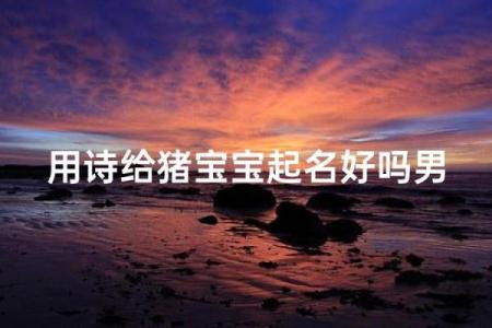 5月份出生的属猪男孩该怎么起名姓名