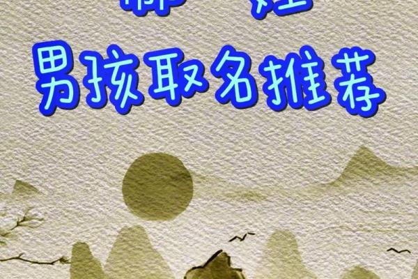 2019年3月28号子时出生的男孩如何起名姓名