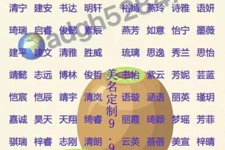2019年3月28号子时出生的男孩如何起名姓名