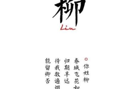 柳姓男孩名字大全-柳姓男孩起名字大全-柳姓名字大全姓名