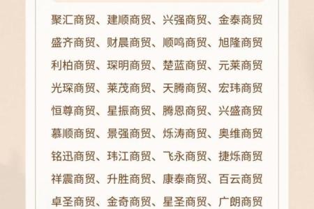 贸易公司名称大全-名字大全姓名