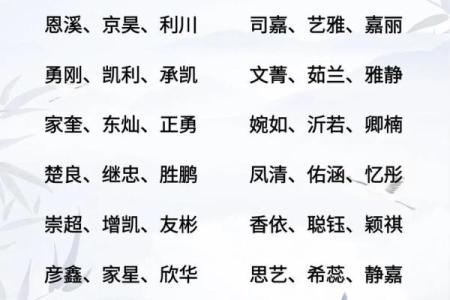 属蛇亥时出生的男孩应该如何起名，适用哪些字姓名