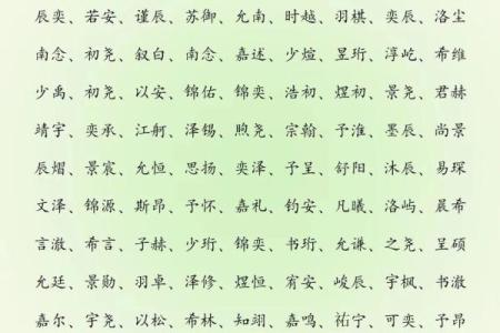 2019年6月10号丑时出生的男孩应该起什么样的名字姓名