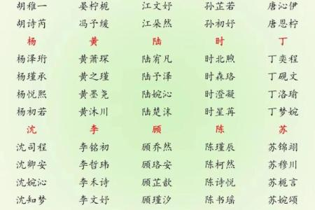 2019年3月21号亥时出生的男孩要怎么起名字姓名
