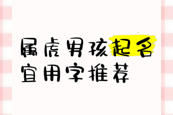 凌晨五点出生的属虎男孩如何起名，应用什么字。姓名