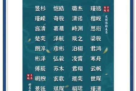 凌晨五点出生的属虎男孩如何起名，应用什么字。姓名