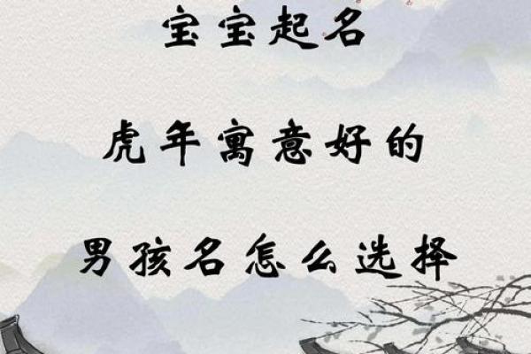 2019年6月6号寅时出生的男孩起名方法姓名