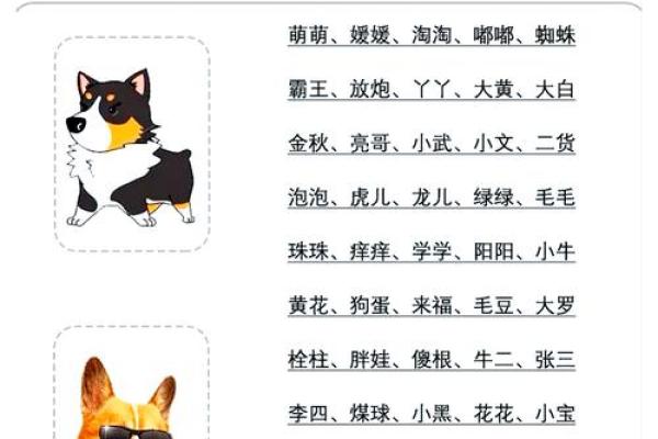 属狗子时出生的男孩该如何起名，宜用哪些字姓名