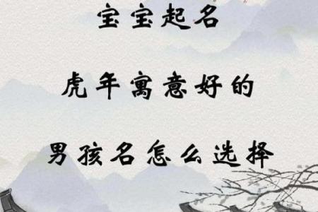 2019年6月6号寅时出生的男孩起名方法姓名