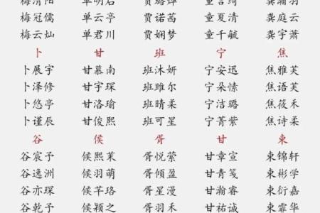 2019年6月30号卯时出生的男孩起名时要注意什么姓名