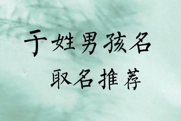 2019年出生的姓于男孩如何起名，宜用什么字姓名