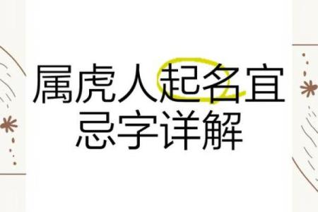 晚上9点出生的属虎男孩如何起名，宜用什么字姓名