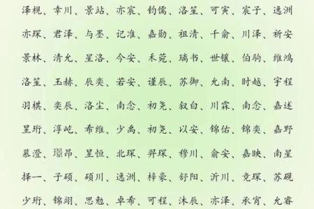 2019年出生的姓于男孩如何起名，宜用什么字姓名