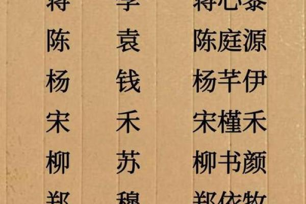 应姓女孩名字大全-应姓女孩起名字大全-应姓名字大全姓名